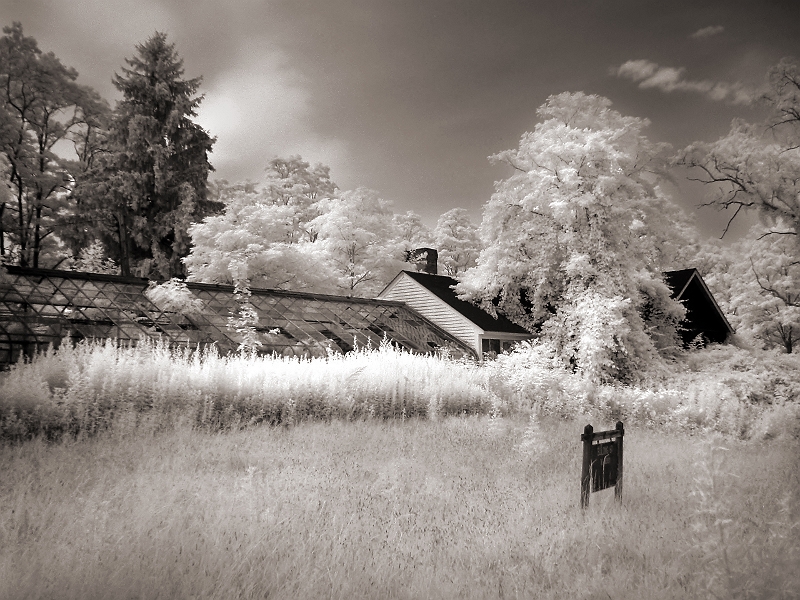 Abandoned Mental Hospital 4 Overgrown Greenhouse at Harlem Valley Psychiatric Hospital, Wingdale, NY � Dave Hickey